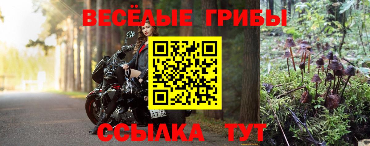 Новый Уренгой  Галлюциногенные грибы ЛСД  Псилоцибиновые грибы Psilocybine cubensis  Вход с VPN 