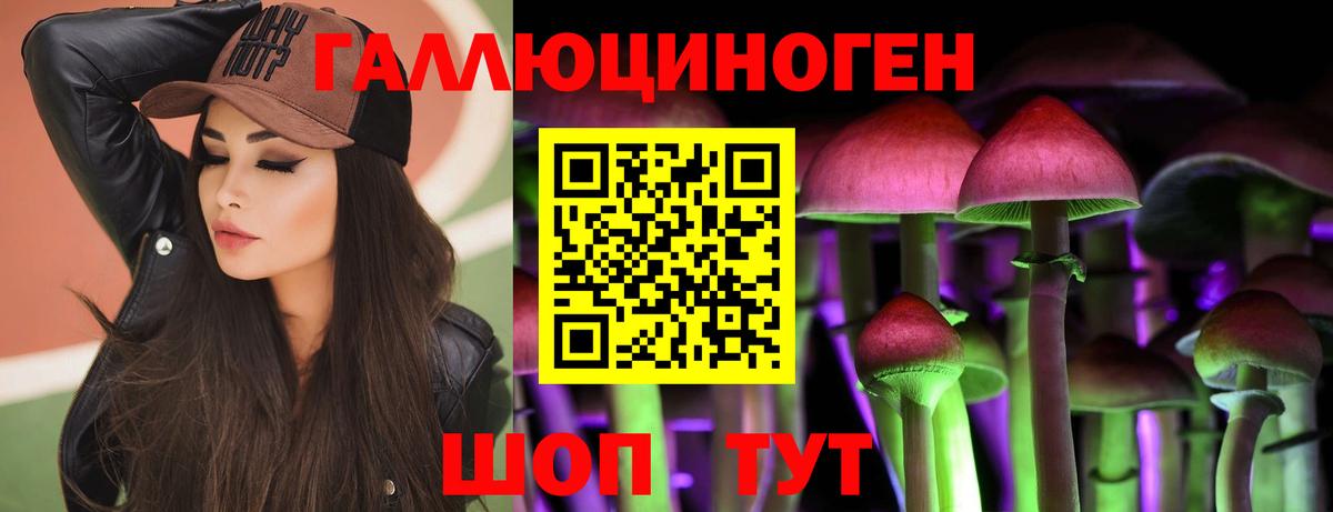 Галлюциногенные грибы Psilocybine cubensis Новый Уренгой